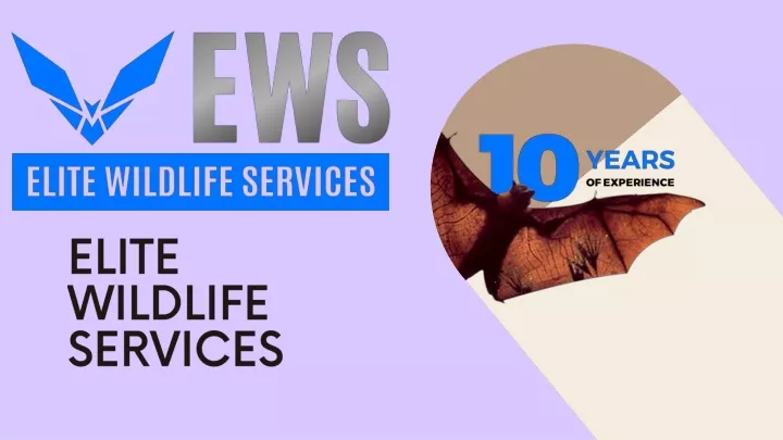 elite wildlife services