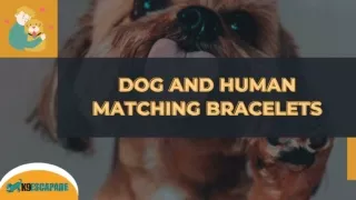 Shop Dog and Human Matching Bracelets at an Affordable Price