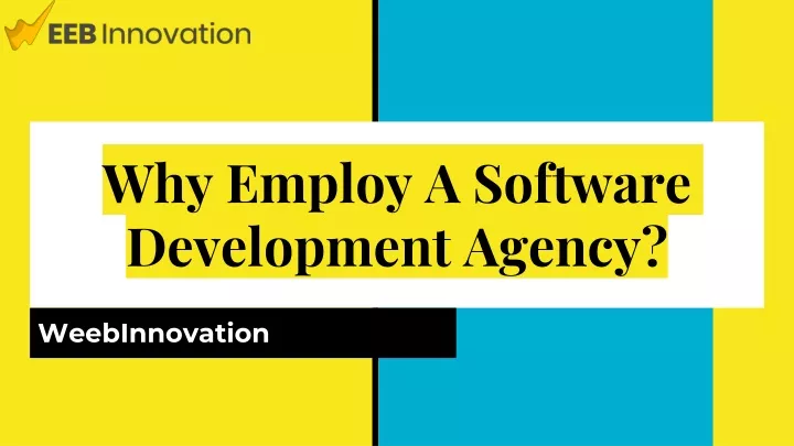 why employ a software development agency