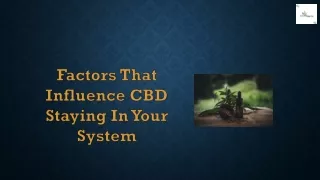 CBD Stay In Your System