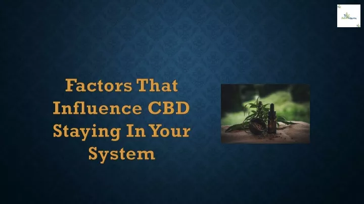 factors that influence cbd staying in your system