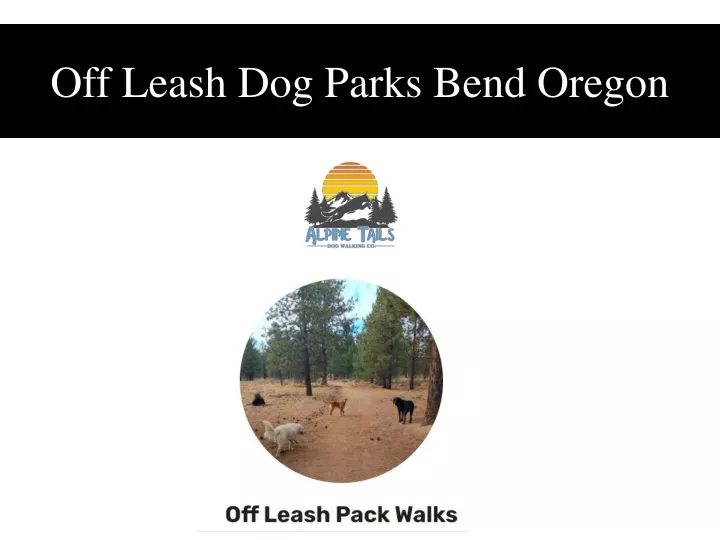 off leash dog parks bend oregon