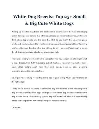 White Dog Breeds: Top 25  Small & Big Cute White Dogs