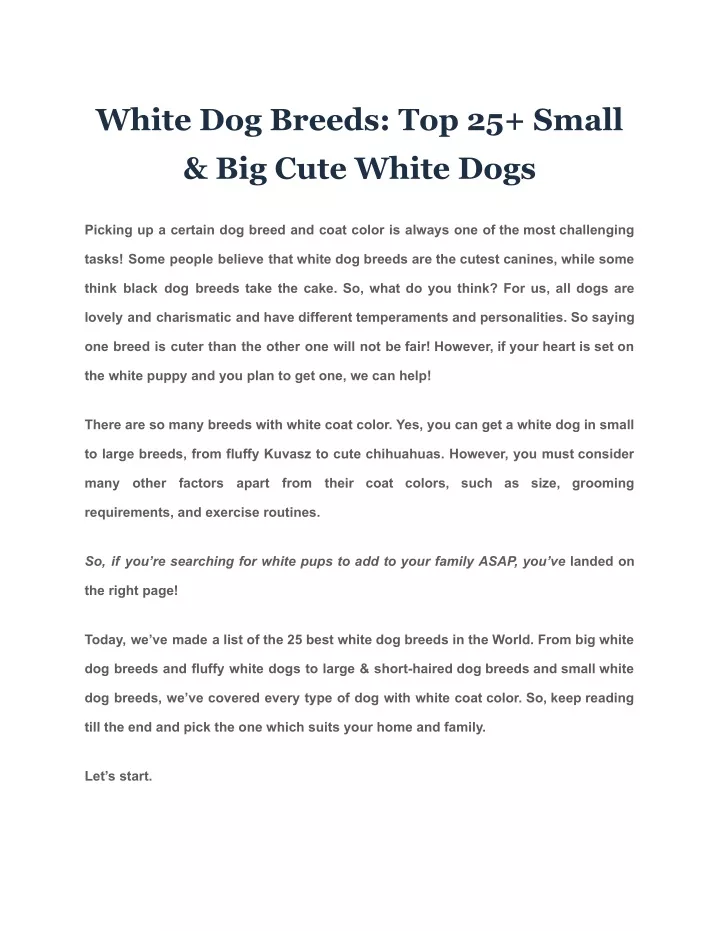 white dog breeds top 25 small big cute white dogs