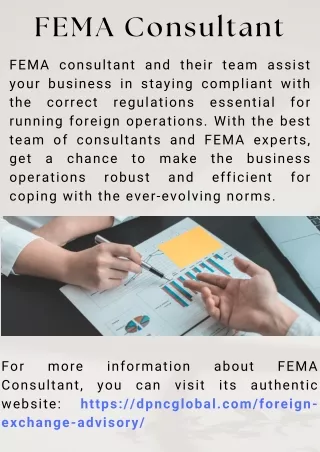 fema consultant