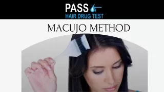 Macujo Method - Pass Hair Drug Test