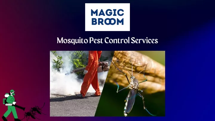 mosquito pest control services