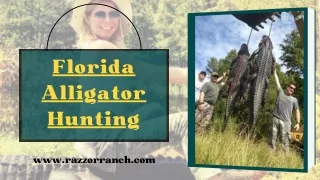 Florida Alligator Hunting: A Thrilling Experience You Won't Forget