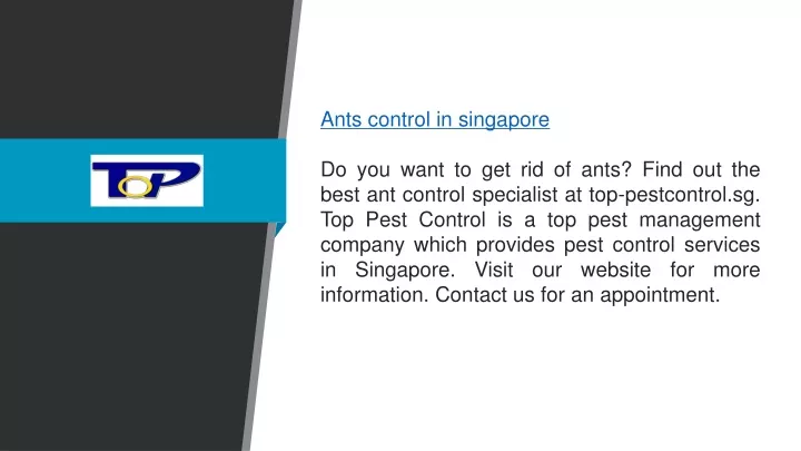 ants control in singapore do you want