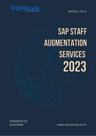 SAP Staff Augmentation Services- Transtrack