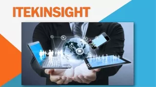What are IT Professional services provided by ITEK Insight