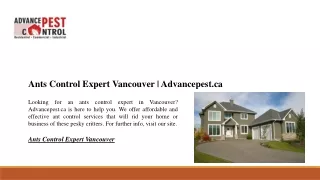 ants control expert vancouver advancepest ca