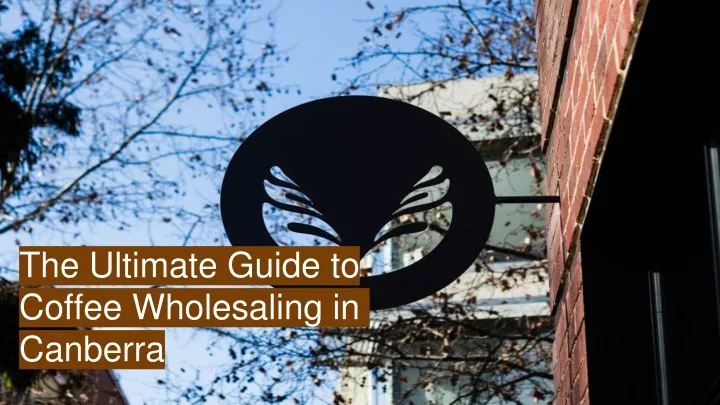 the ultimate guide to coffee wholesaling