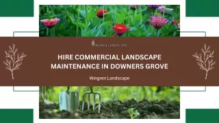 Hire Commercial Landscape Maintenance in Downers Grove