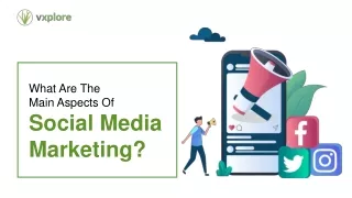 what are the main aspects of social media
