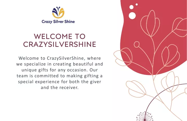 welcome to crazysilvershine