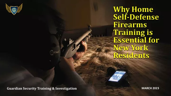 why home self defense firearms training is essential for new york residents