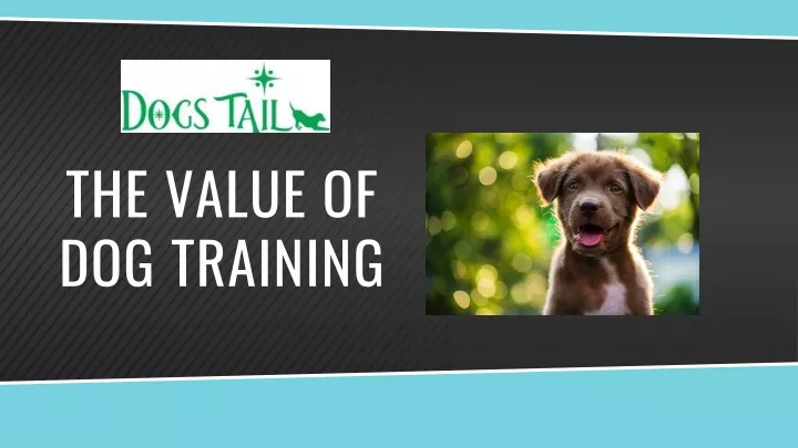 the value of dog training