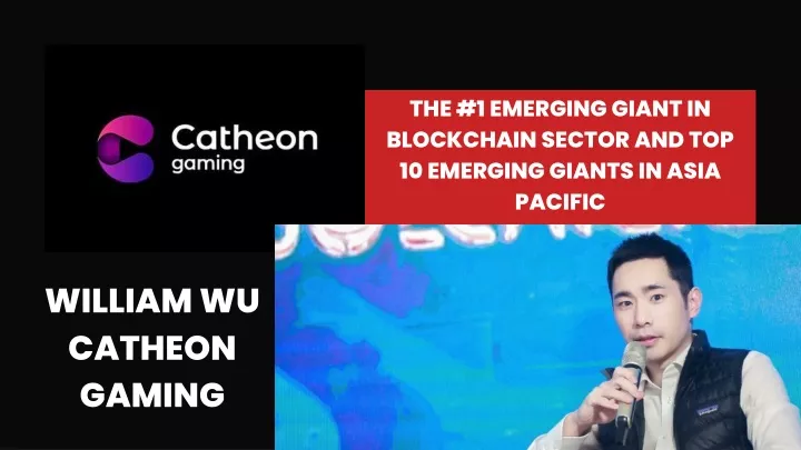 the 1 emerging giant in blockchain sector