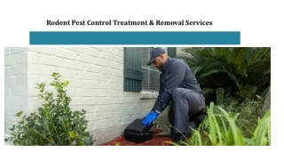Rodent Pest Control Treatment & Removal Services