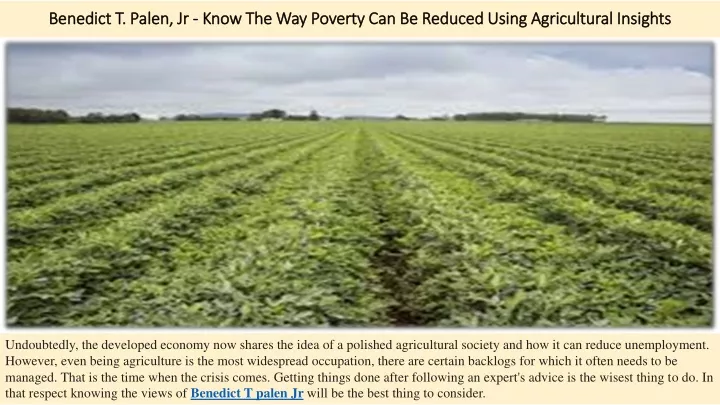 benedict t palen jr know the way poverty can be reduced using agricultural insights