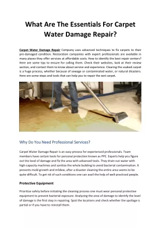 What Are The Essentials For Carpet Water Damage Repair?