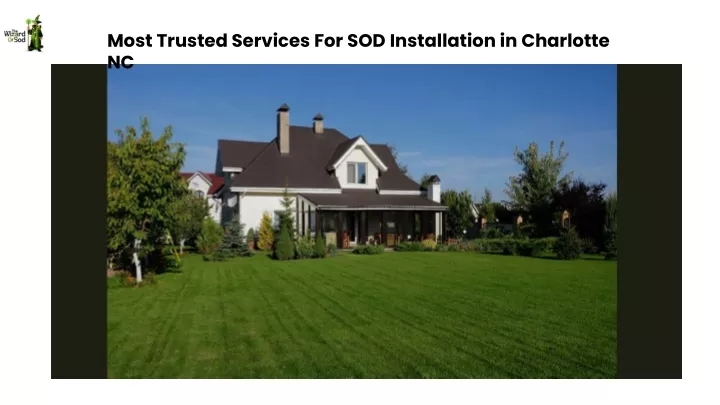 most trusted services for sod installation