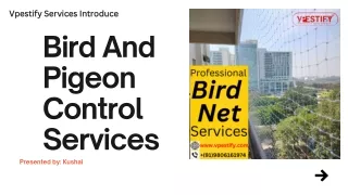 Bird and Pigeon Netting Services in Delhi, Noida, Gurgaon, Delhi-NCR-Vpestify