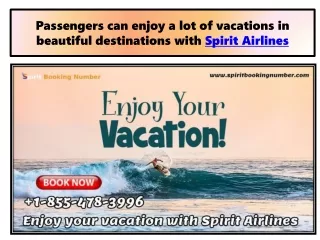 Enjoy your vacation with Spirit Airlines