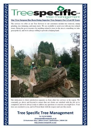 Our Tree Surgeon Has Been Doing Superior Tree Surgery For A Lot Of Years