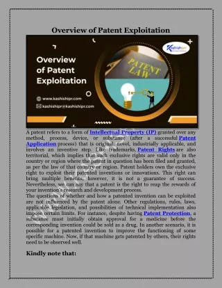 Overview of Patent Exploitation