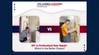 DIY vs Professional Door Repair: Which is the Better Choice?