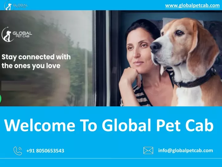 www globalpetcab com