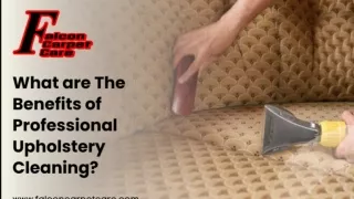 What Are The Benefits Of Professional Upholstery Cleaning  Falcon Carpet Care
