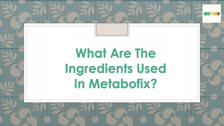 what are the ingredients used in metabofix