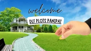 DLF Plots Panipat: Everything You Need to Know Before Investing