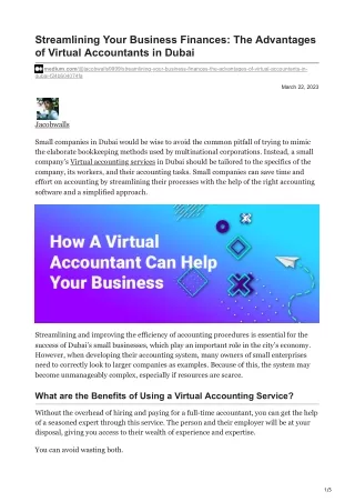Streamlining Your Business Finances The Advantages of Virtual Accountants in Dubai