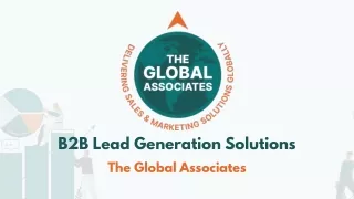 B2B Lead Generation Solutions  The Global Associates