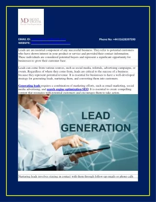 What Are Leads?