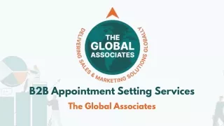 B2B Appointment Setting Services  The Global Associates