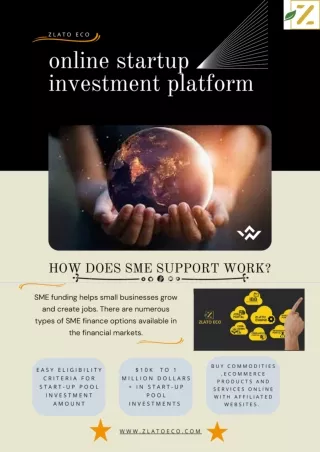 STARTUP INVESTMENT PLATFORM