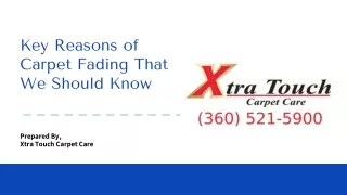 key reasons of carpet fading that we should know