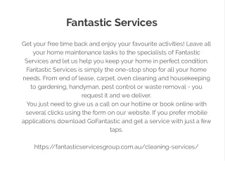 fantastic services