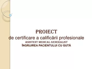 proiect
