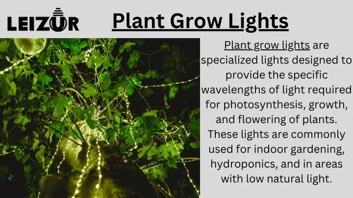 plant grow lights