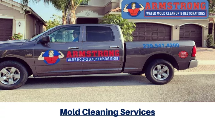 mold cleaning services