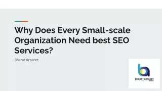 Why Does Every Small-scale Organization Need best SEO Services