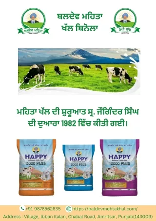 Cattle Feed 5000 Manufacturer in Punjab