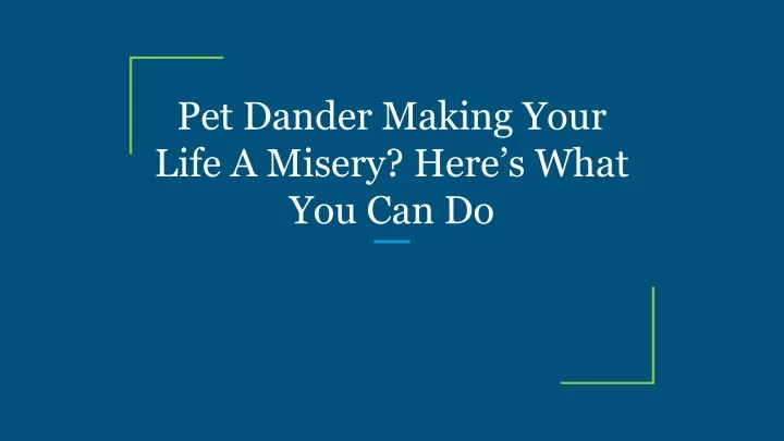 pet dander making your life a misery here s what