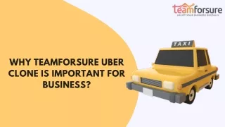 why teamforsure uber clone is important for business